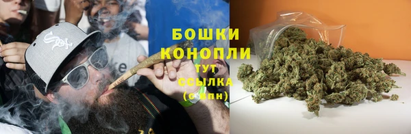 прущие грибы Кулебаки