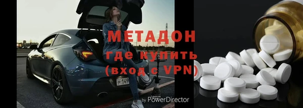 прущие грибы Кулебаки