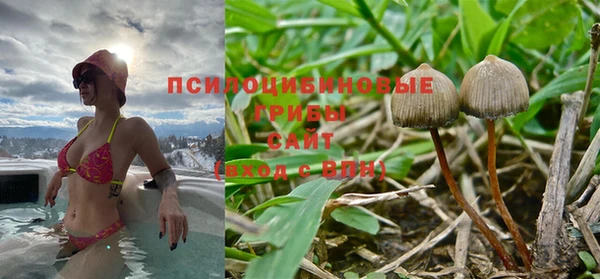 ПСИЛОЦИБИНОВЫЕ ГРИБЫ Кукмор