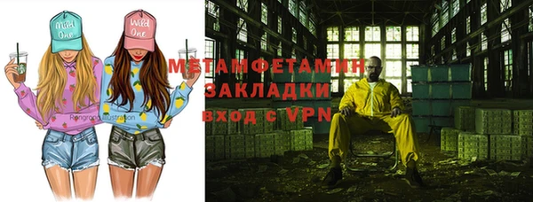 прущие грибы Кулебаки