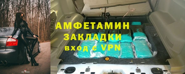 прущие грибы Кулебаки