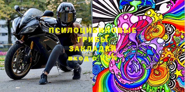 прущие грибы Кулебаки