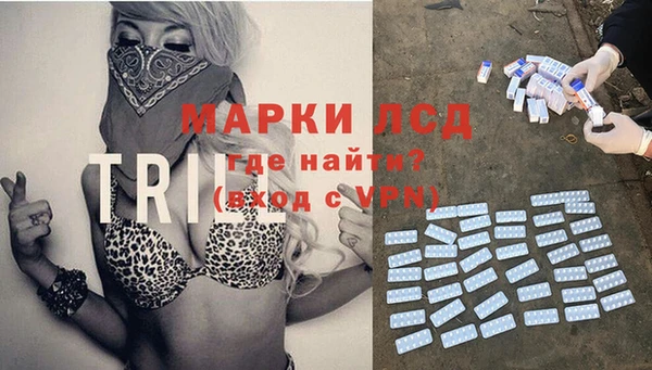 ПСИЛОЦИБИНОВЫЕ ГРИБЫ Кукмор