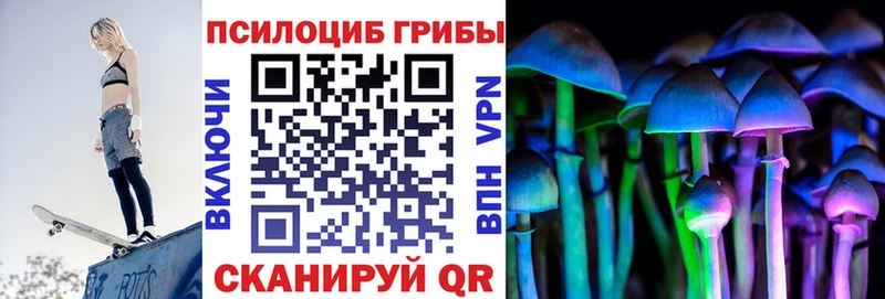 Псилоцибиновые грибы Psilocybine cubensis  продажа наркотиков  Курган 